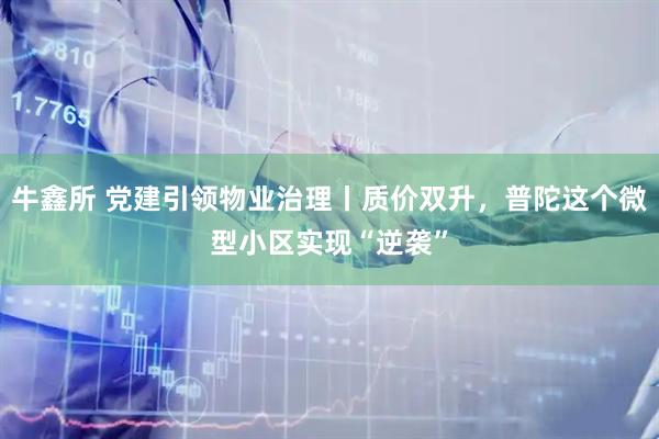 牛鑫所 党建引领物业治理丨质价双升，普陀这个微型小区实现“逆袭”