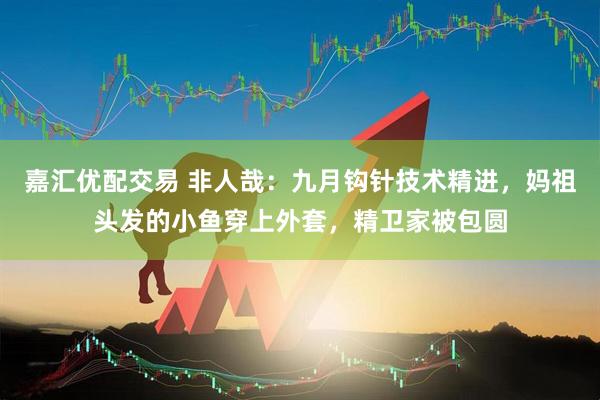 嘉汇优配交易 非人哉：九月钩针技术精进，妈祖头发的小鱼穿上外套，精卫家被包圆
