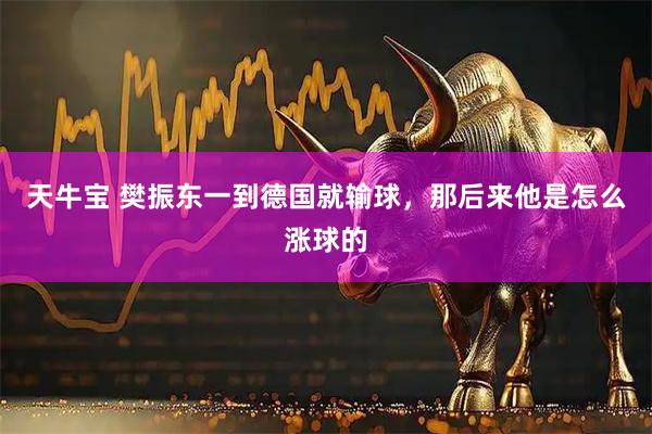 天牛宝 樊振东一到德国就输球，那后来他是怎么涨球的