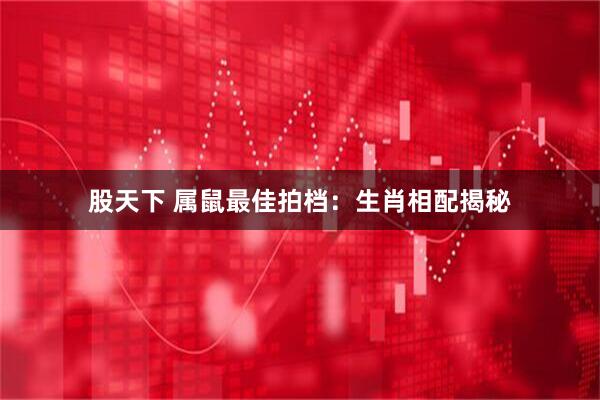 股天下 属鼠最佳拍档：生肖相配揭秘