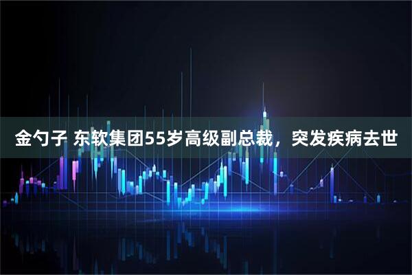 金勺子 东软集团55岁高级副总裁，突发疾病去世