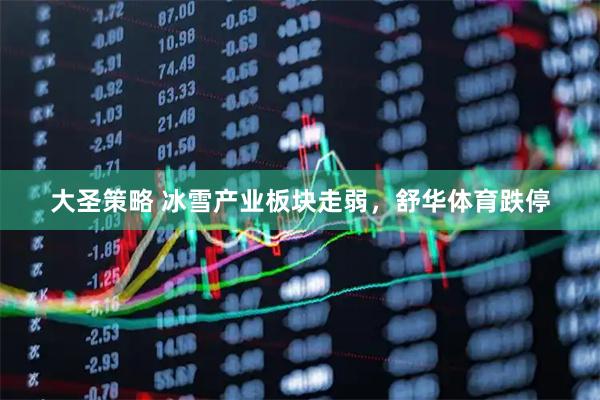 大圣策略 冰雪产业板块走弱，舒华体育跌停