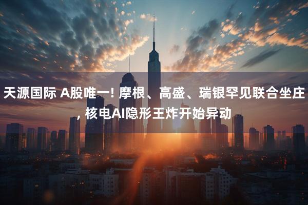 天源国际 A股唯一! 摩根、高盛、瑞银罕见联合坐庄, 核电AI隐形王炸开始异动