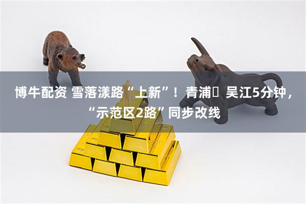 博牛配资 雪落漾路“上新”！青浦⇋吴江5分钟，“示范区2路”同步改线